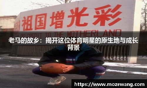 易游体育