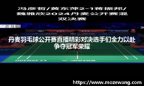 丹麦羽毛球公开赛直播精彩对决选手们全力以赴争夺冠军荣耀