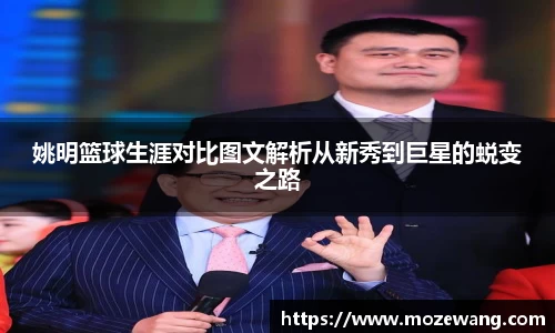 yy体育