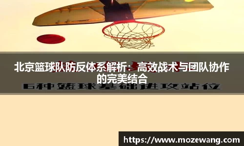 yy易游