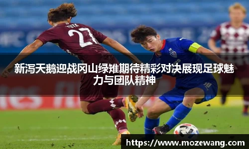 yy易游