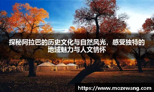 yy体育