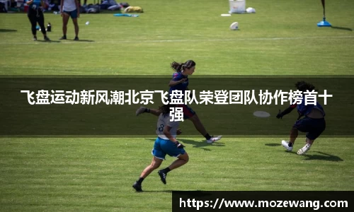 yy体育